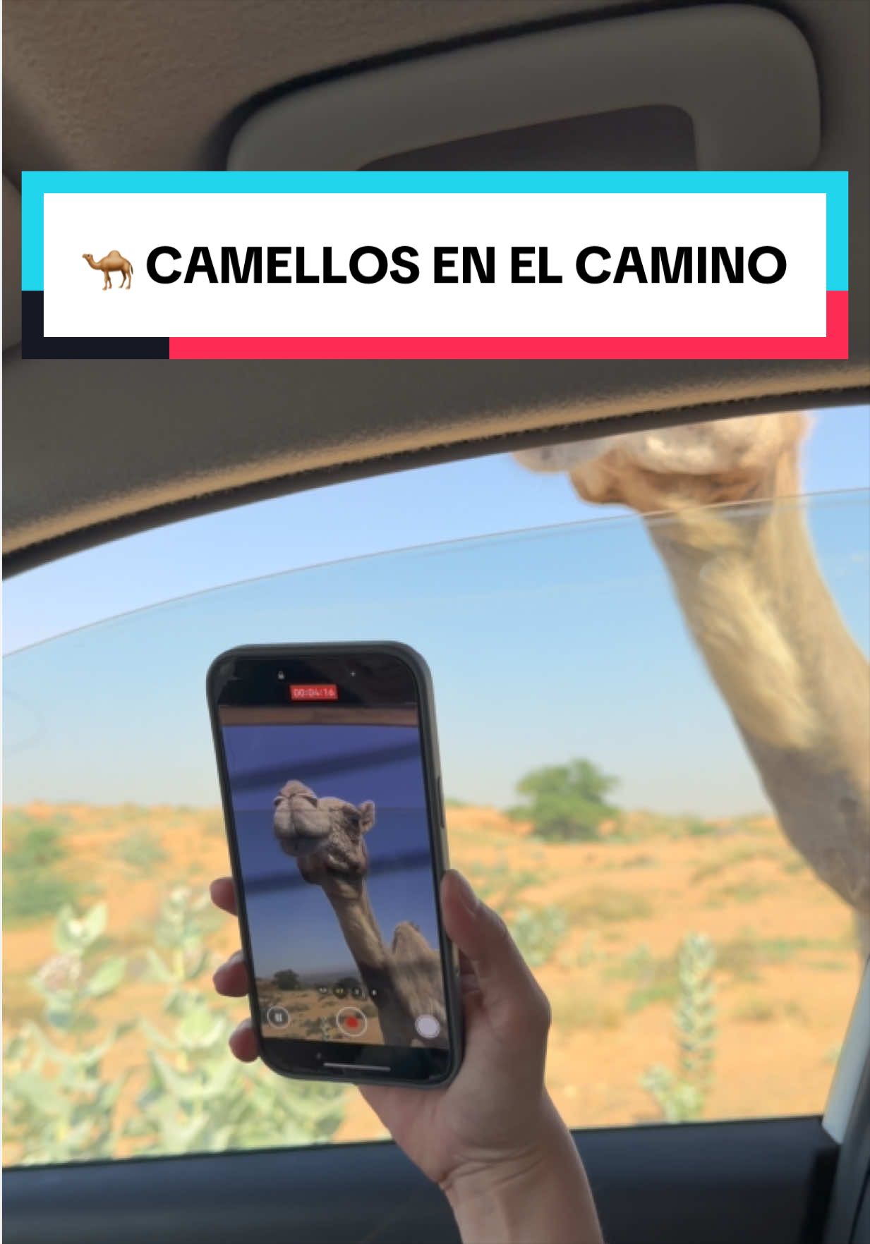@Romeo por el Mundo