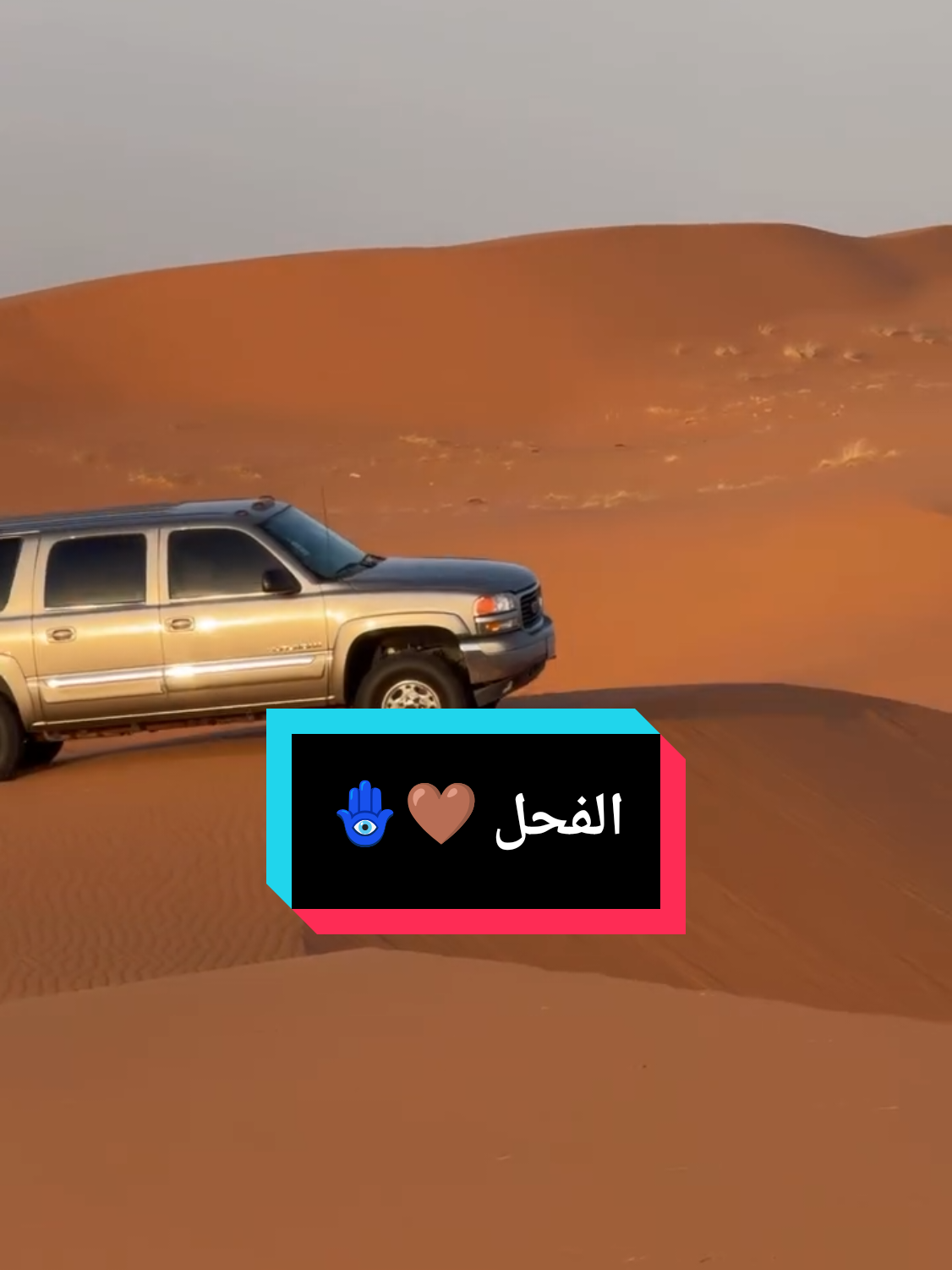 @★彡 أبــو فَــلاح 彡★