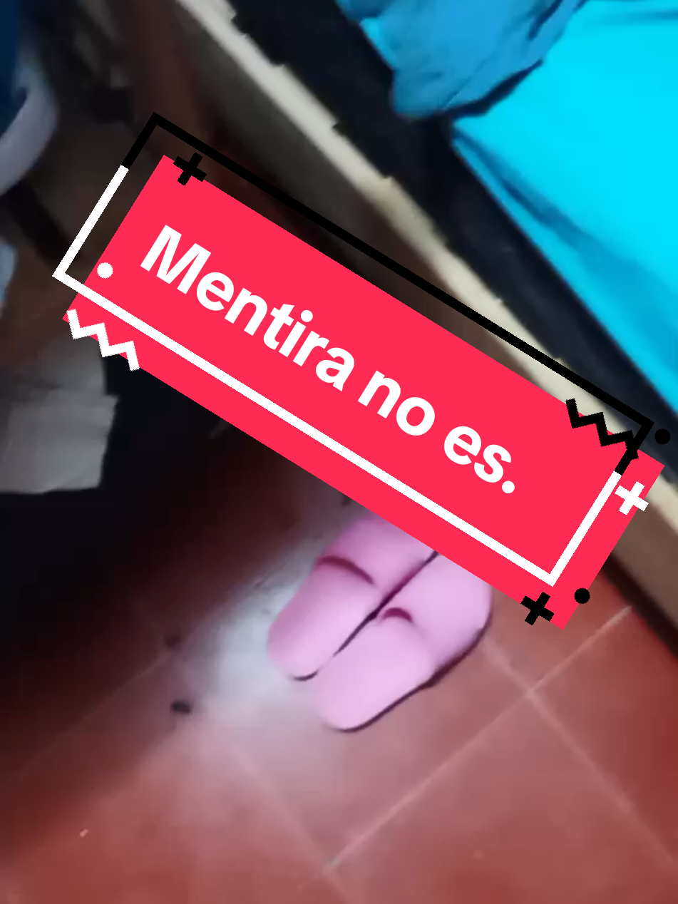 @ElGalloskyOficial