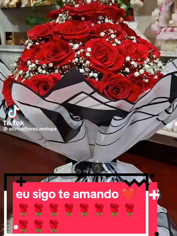 @Aurea Ribeiro