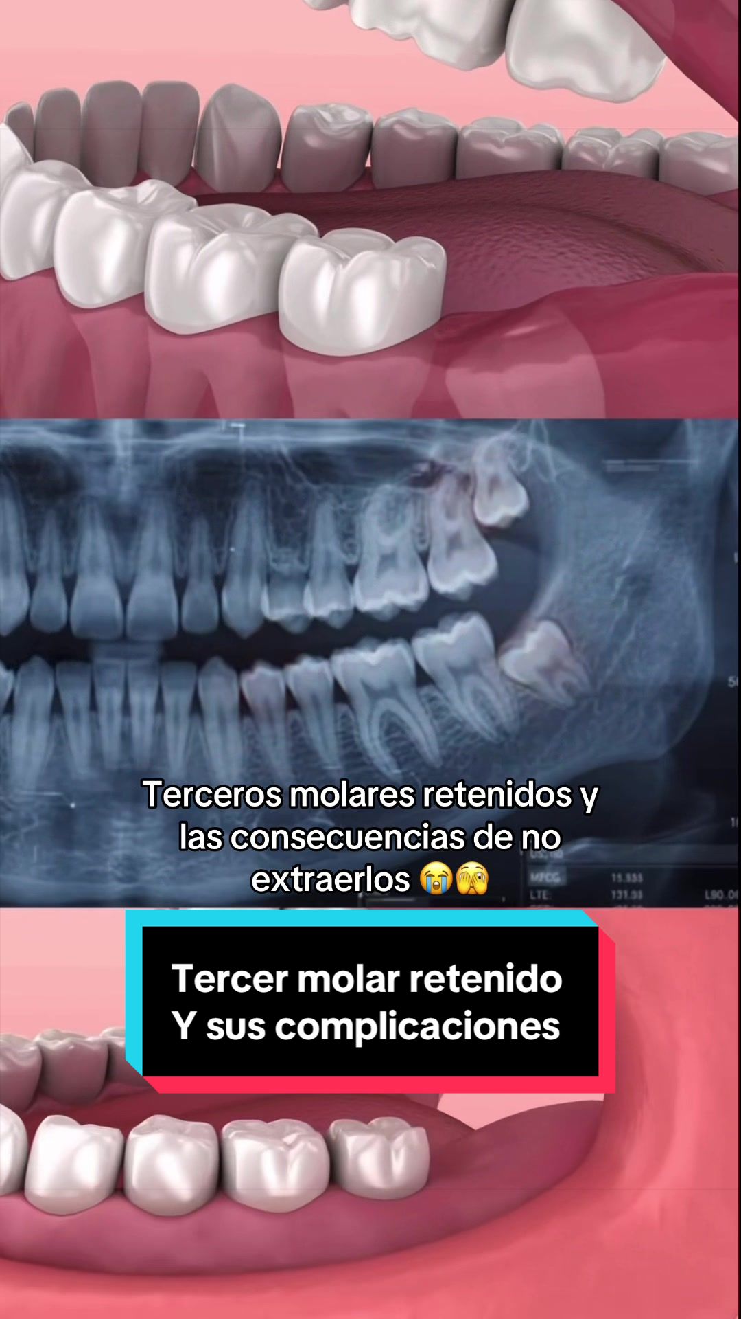 @Clínica Dental Sonrident