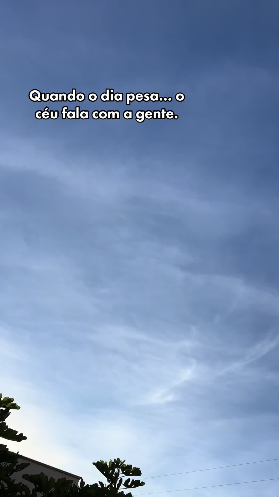 @Rose