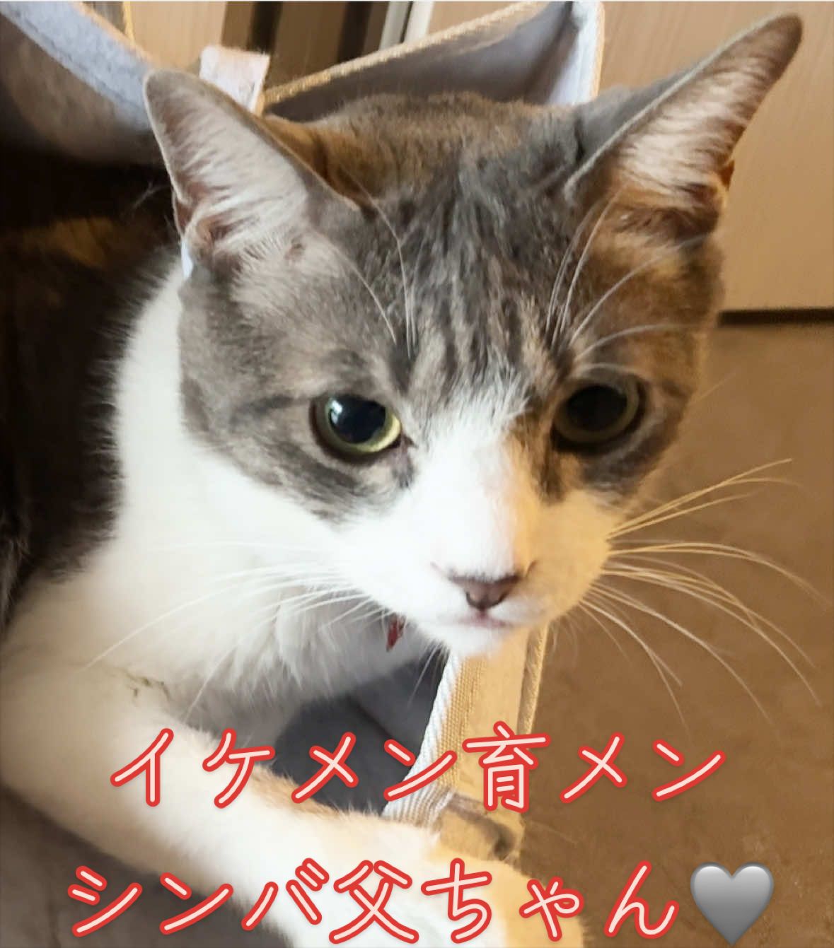 @はっぴー野郎☺︎