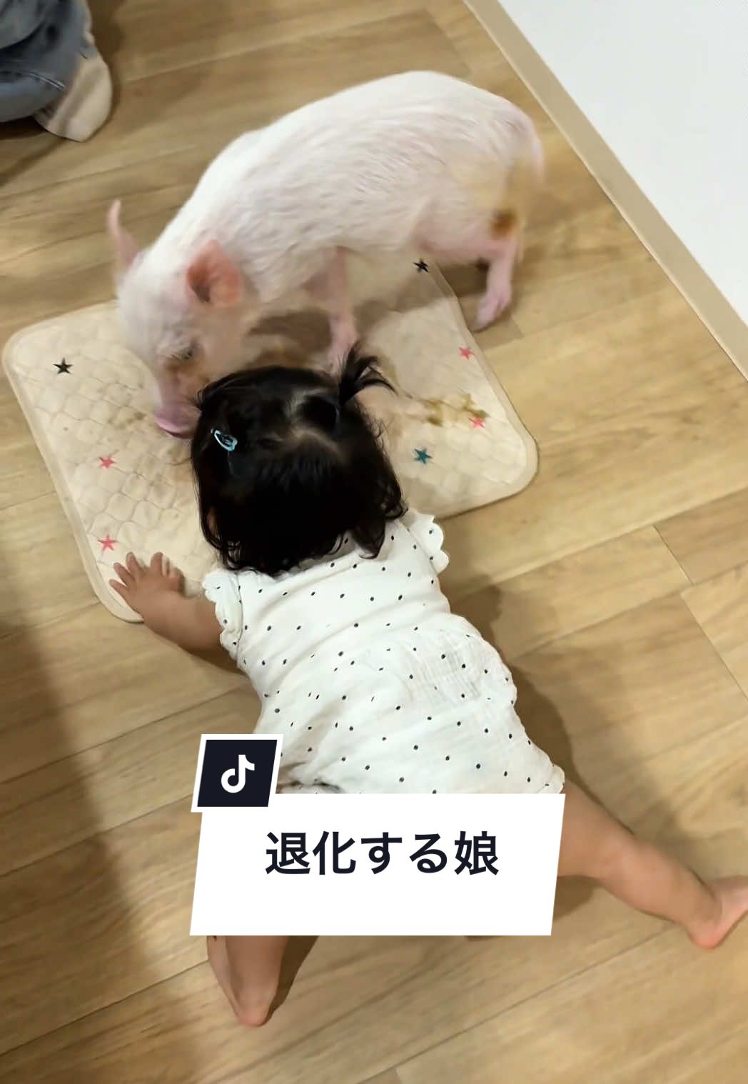 @めんべぇ家🐽💢
