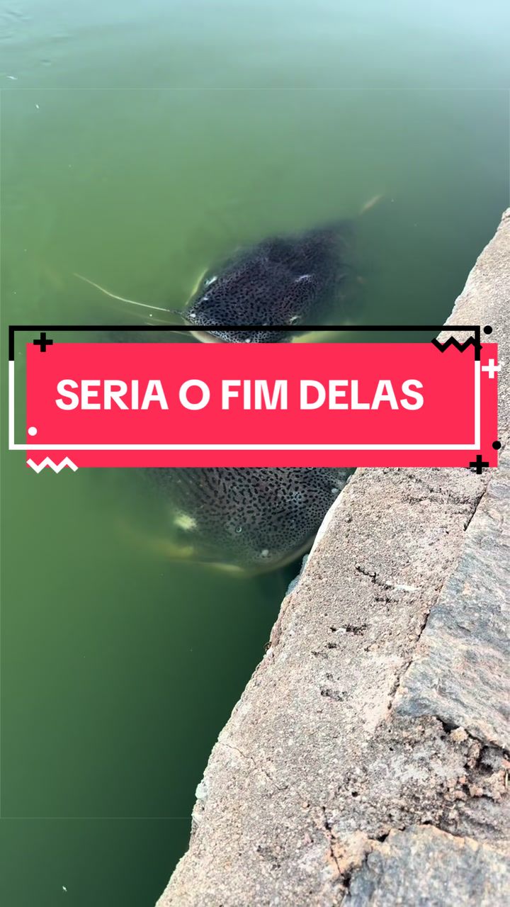 @Dimex Pescador