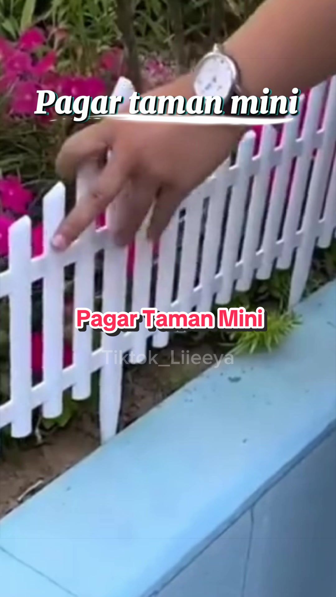 @Liya
