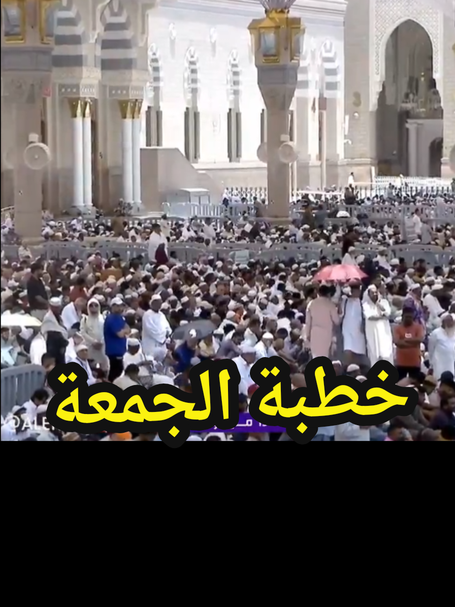 @سعود من المدينة المنورة 🛑