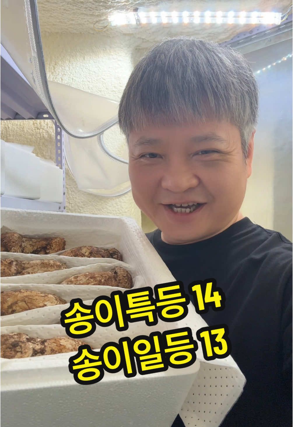 @원영-연변로찐