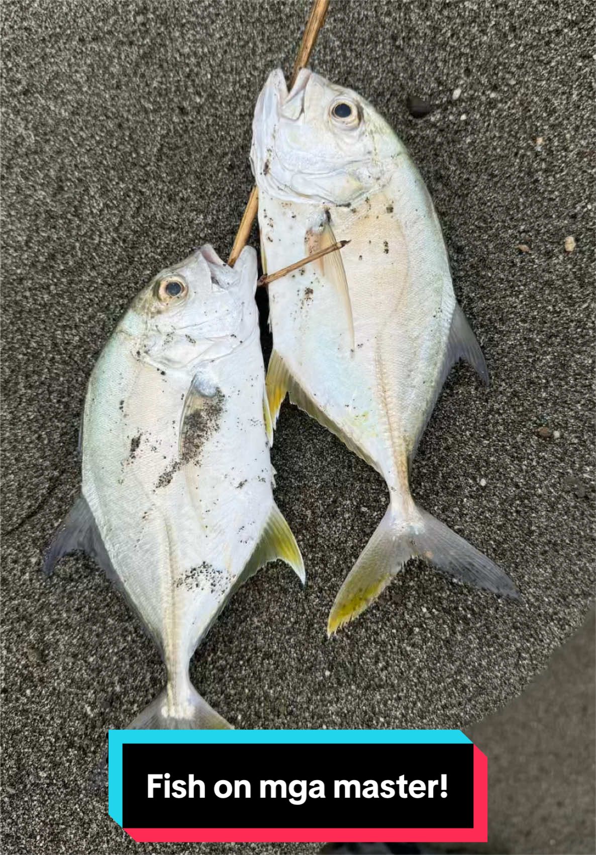 @Wilmer’s Fishing Adventure