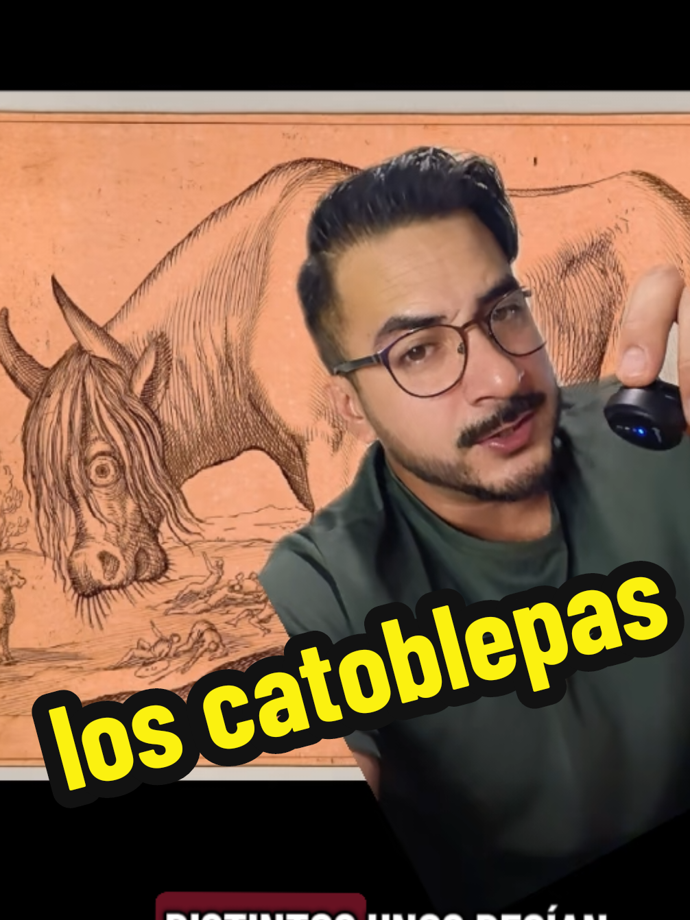 @nolosejose