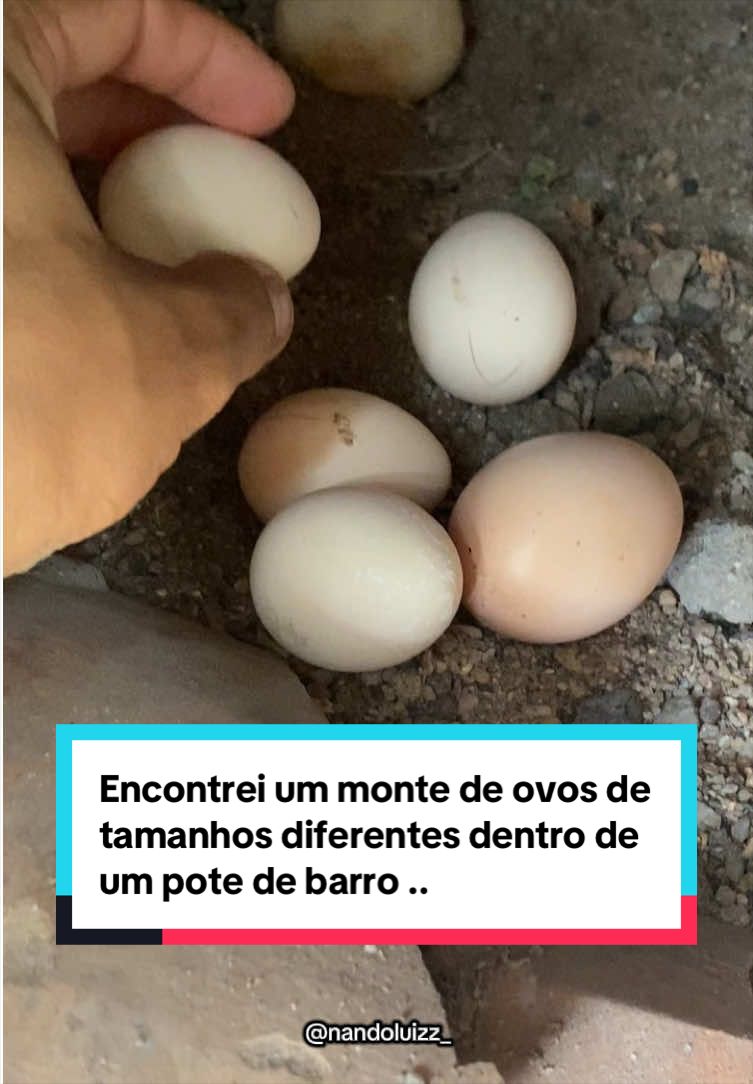 @Fernando Luiz