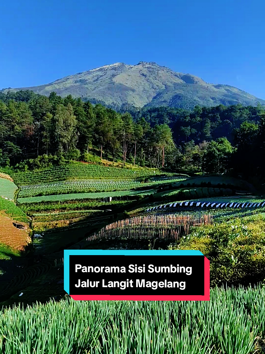 @SISI_SUMBING