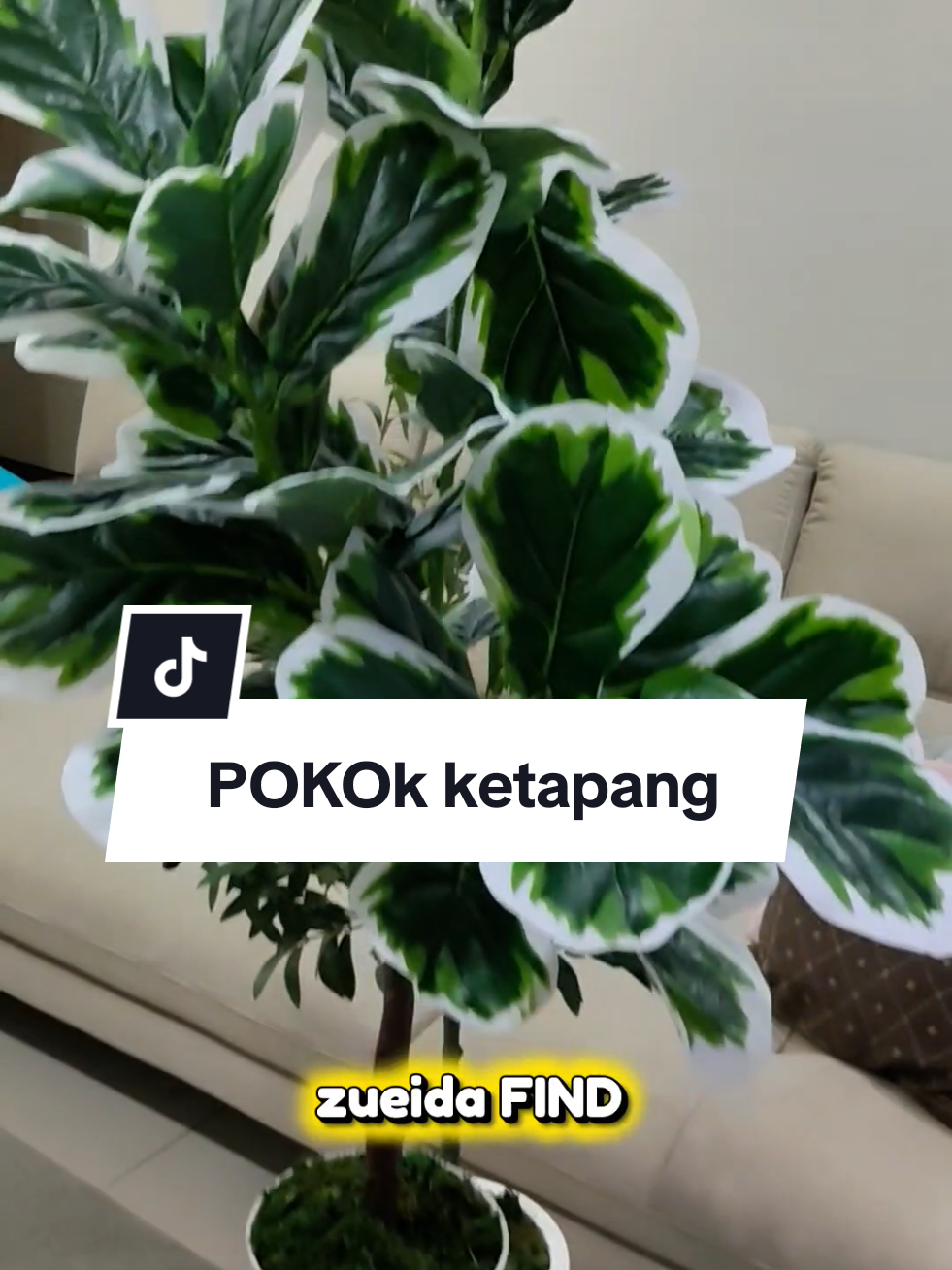 @zueida Finds