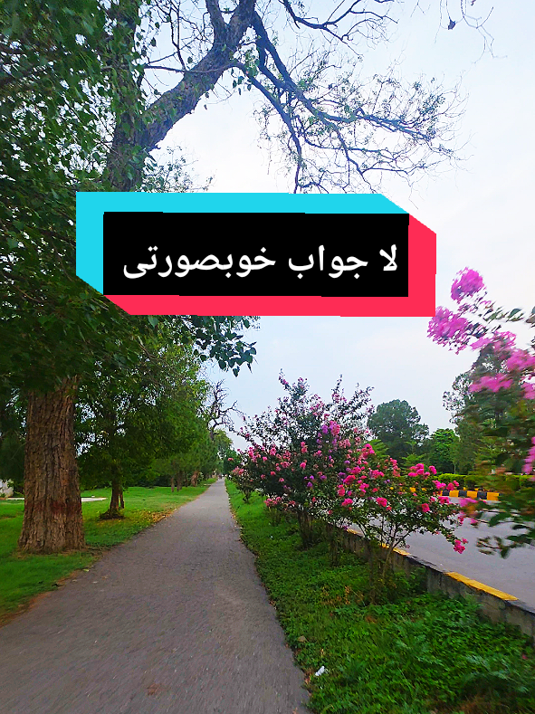 @Wah Cantt and Taxila