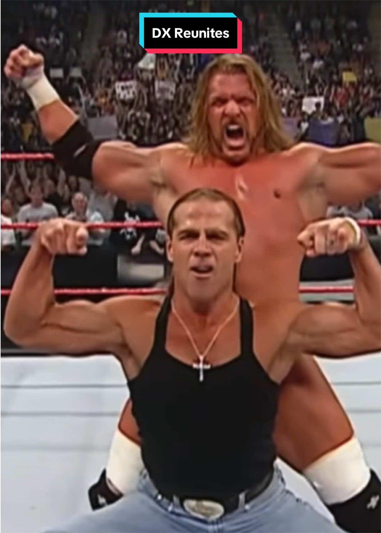 @WWE | AEW | TNA | NJPW