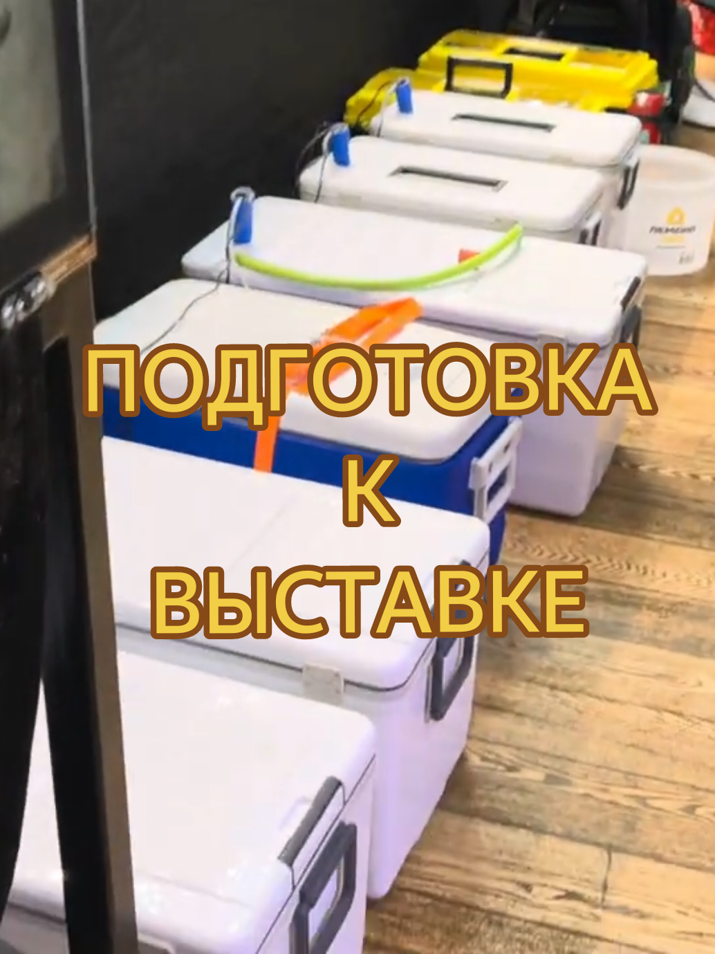 @Судак в Аквариуме