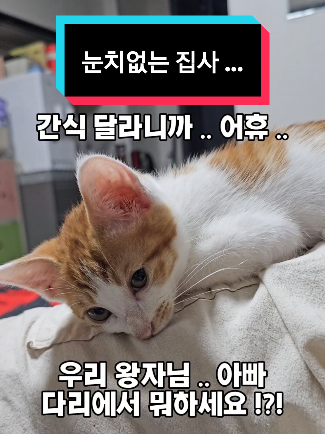 @๐ง๐น๊ผญ์ง์ ํธํ๋๐ชถ๐ง