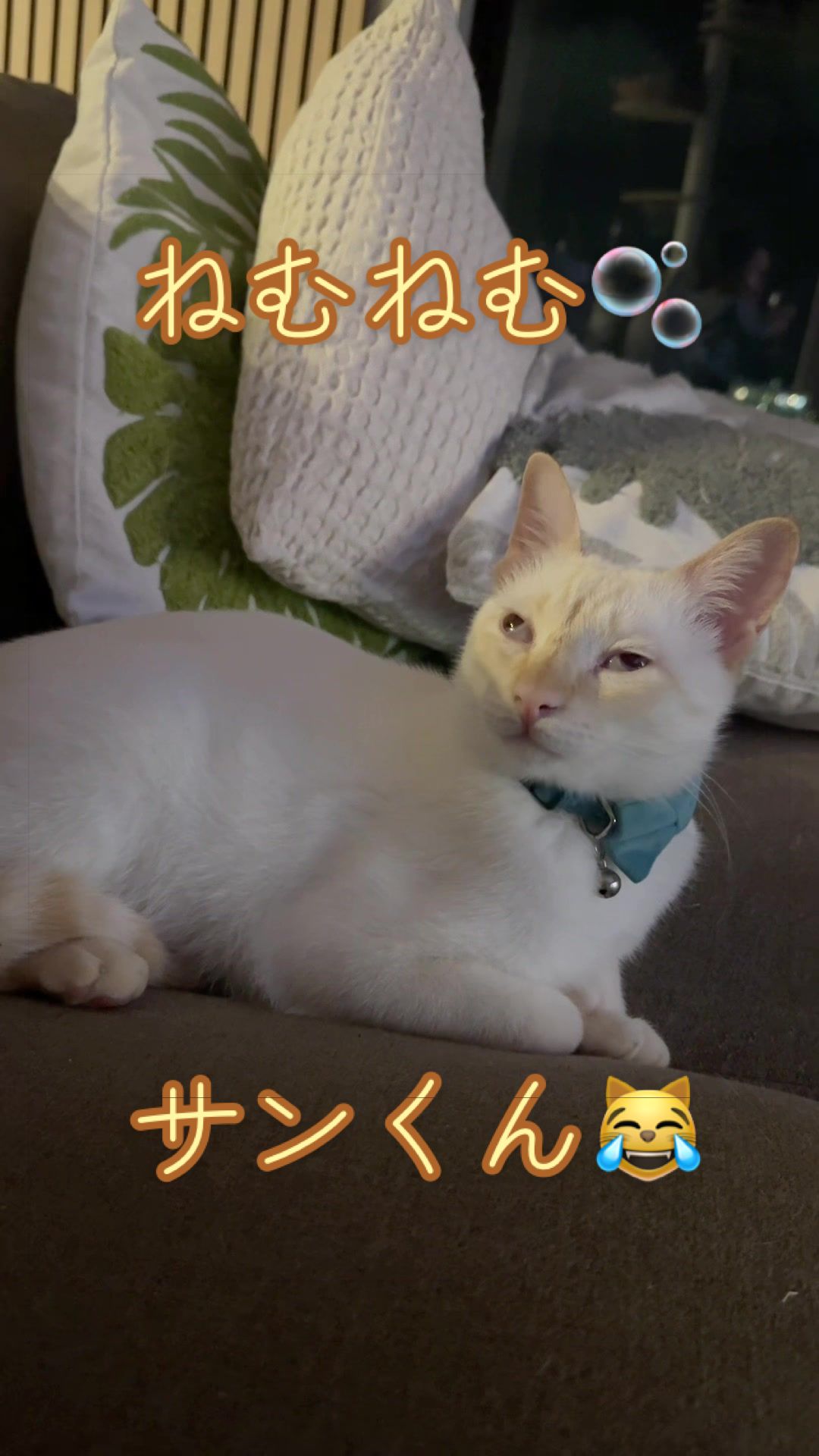 @はっぴー野郎☺︎