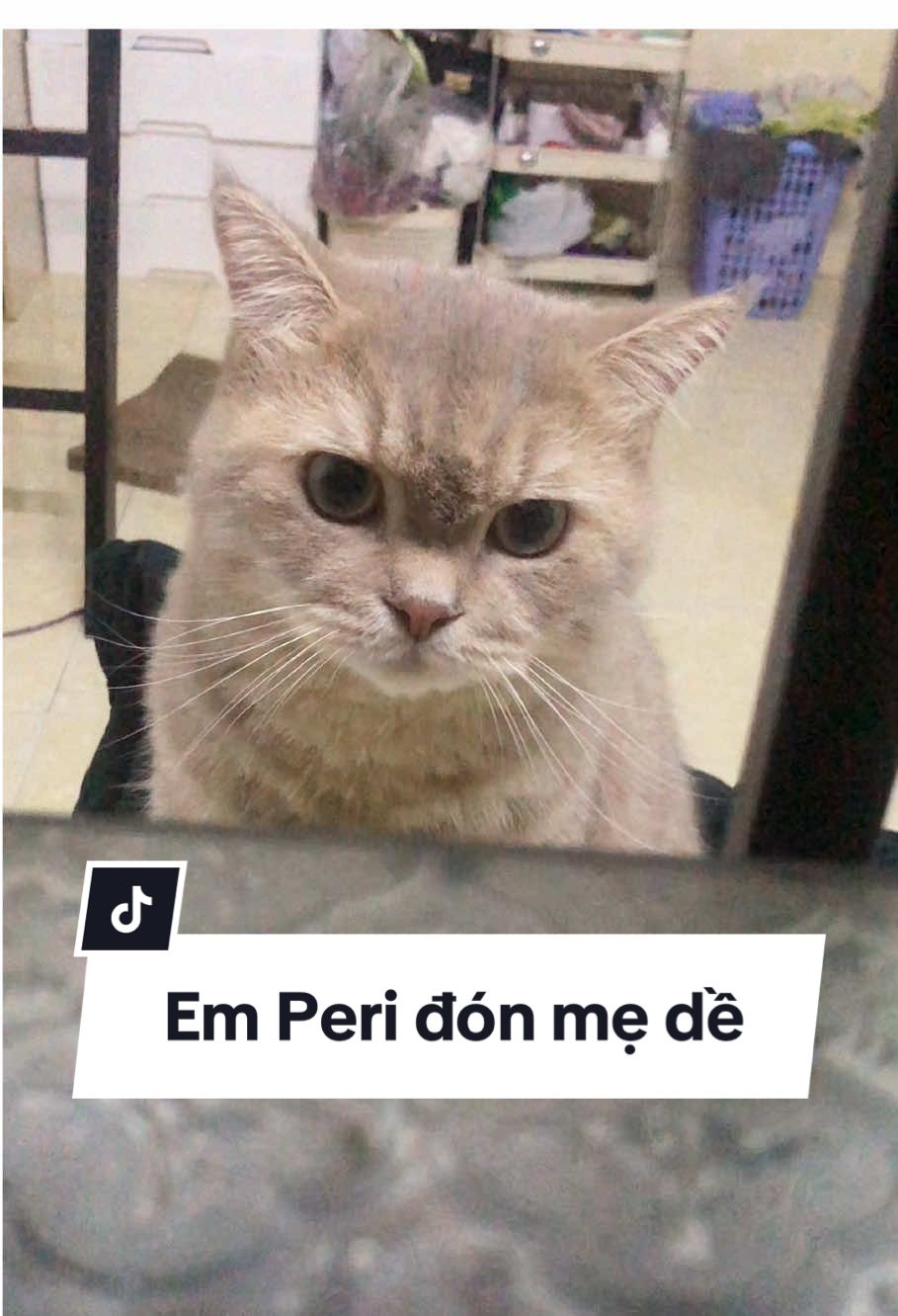 @Em Peri💜✨