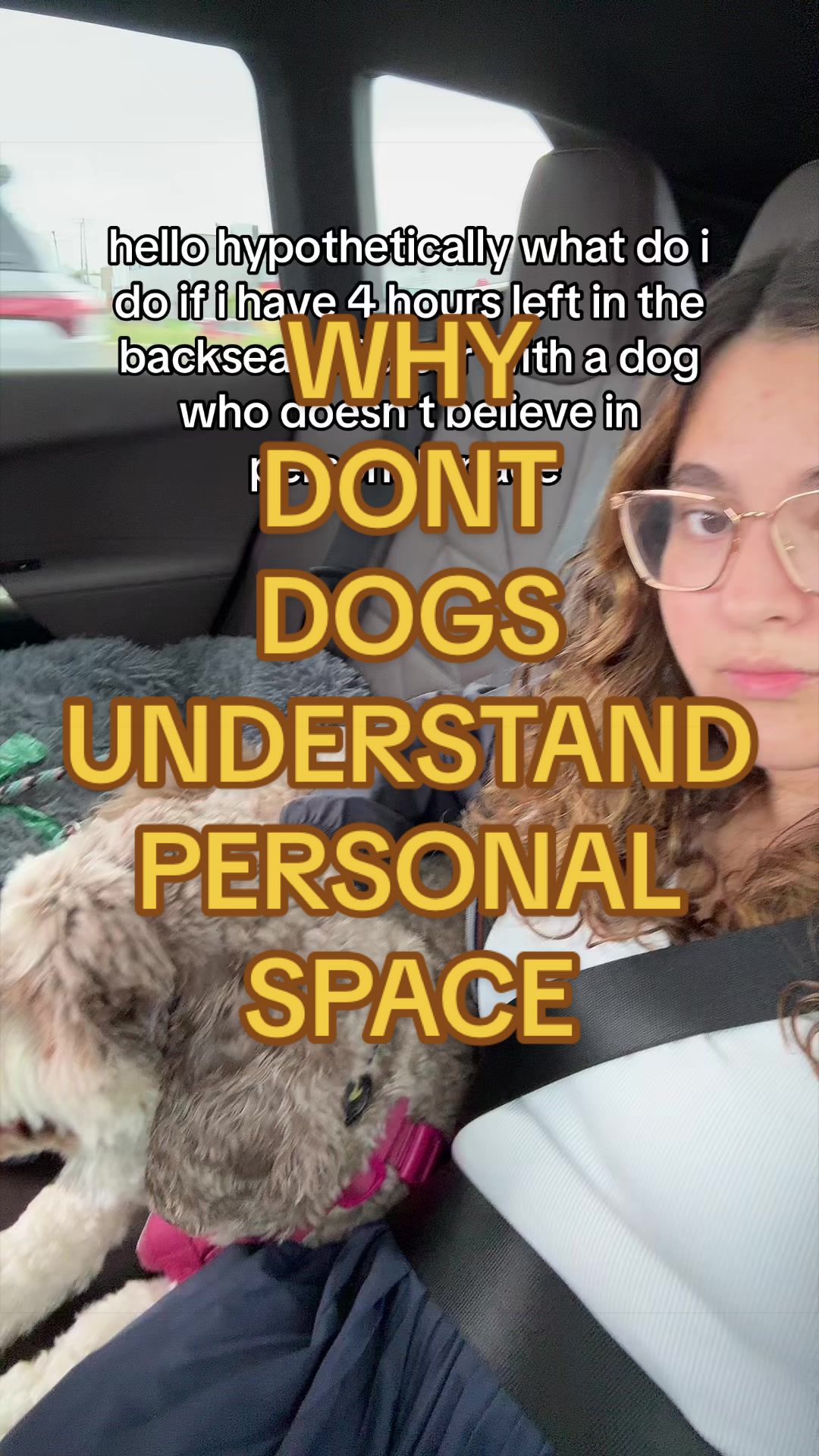 @KayleeTheKoala