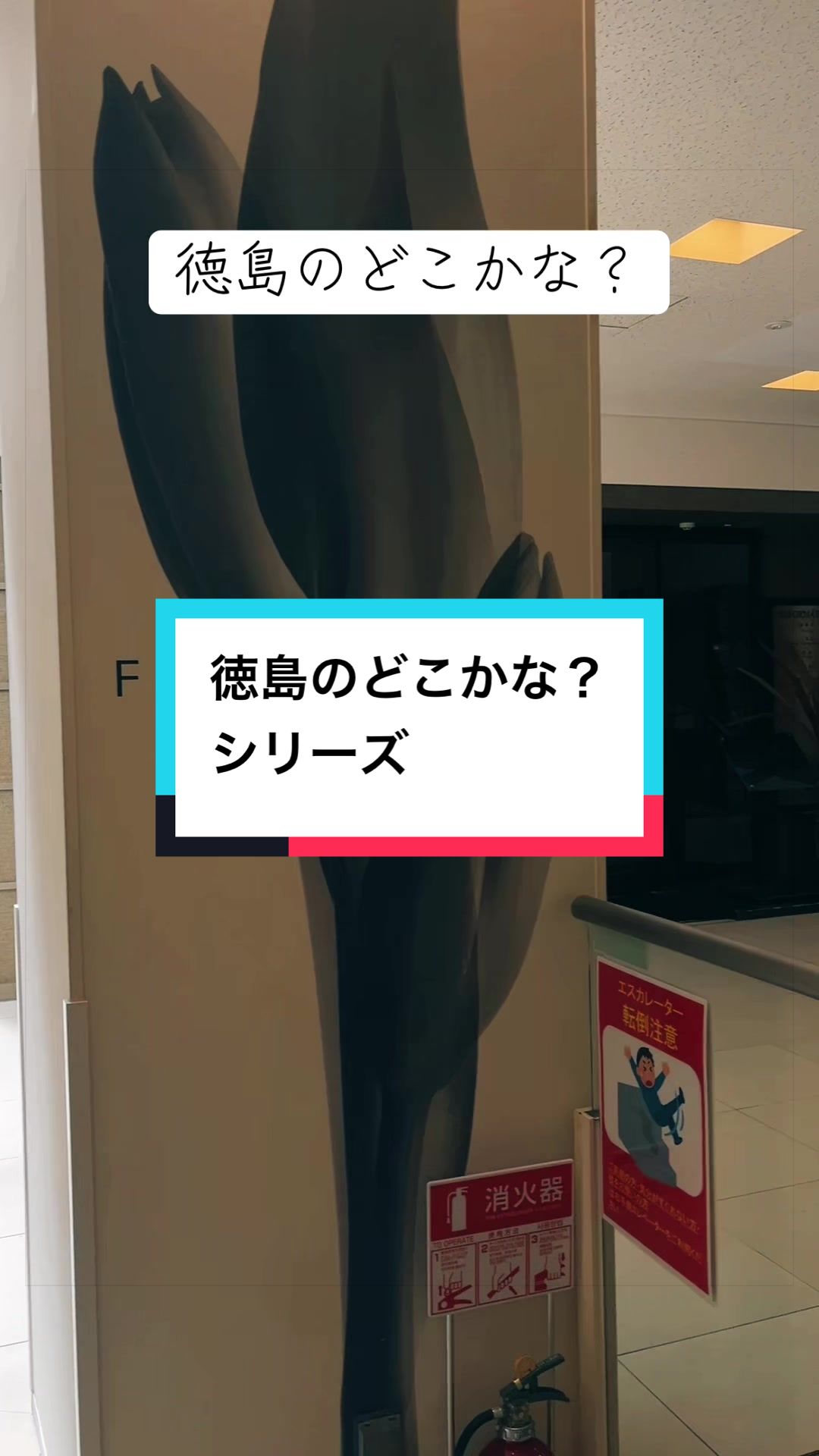 @はな🌼*・