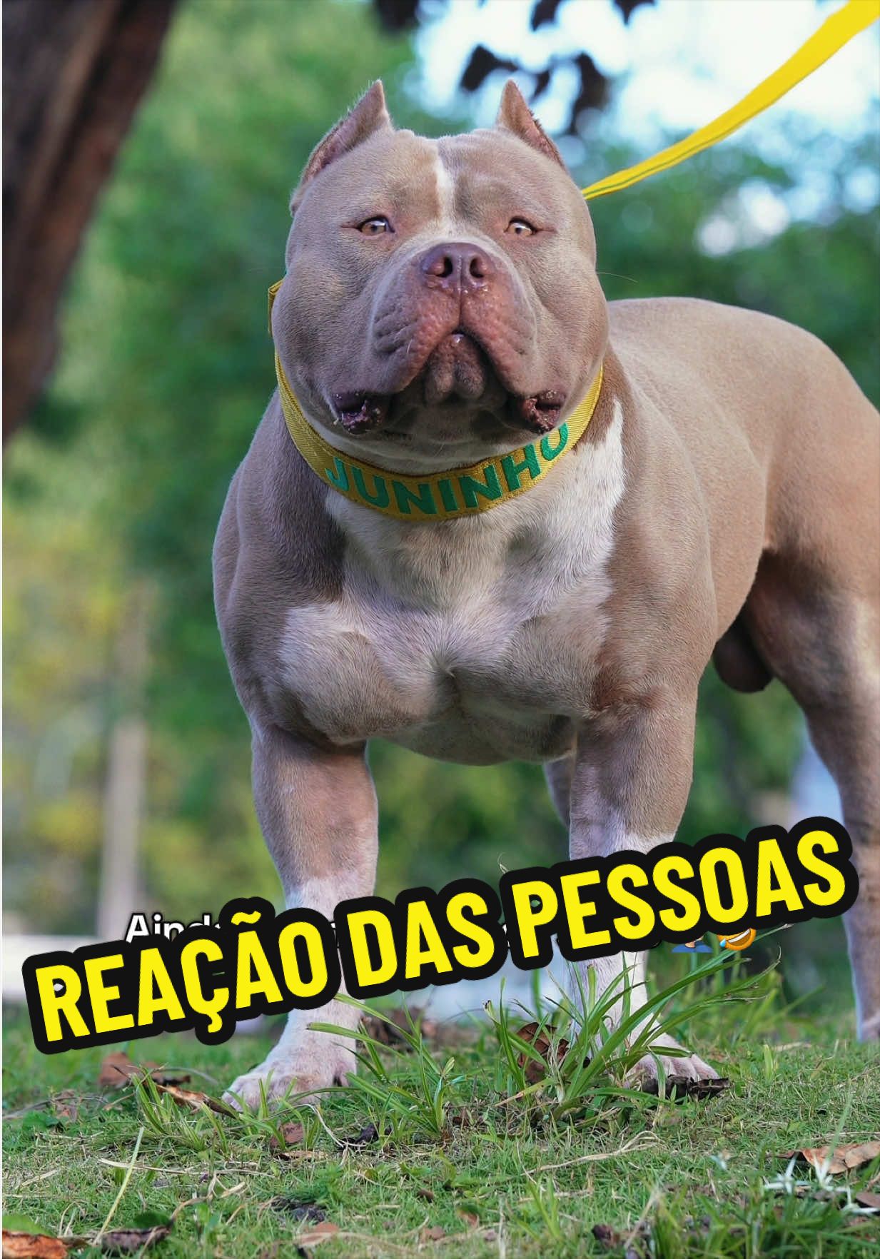 @Família Ragnar 🐶