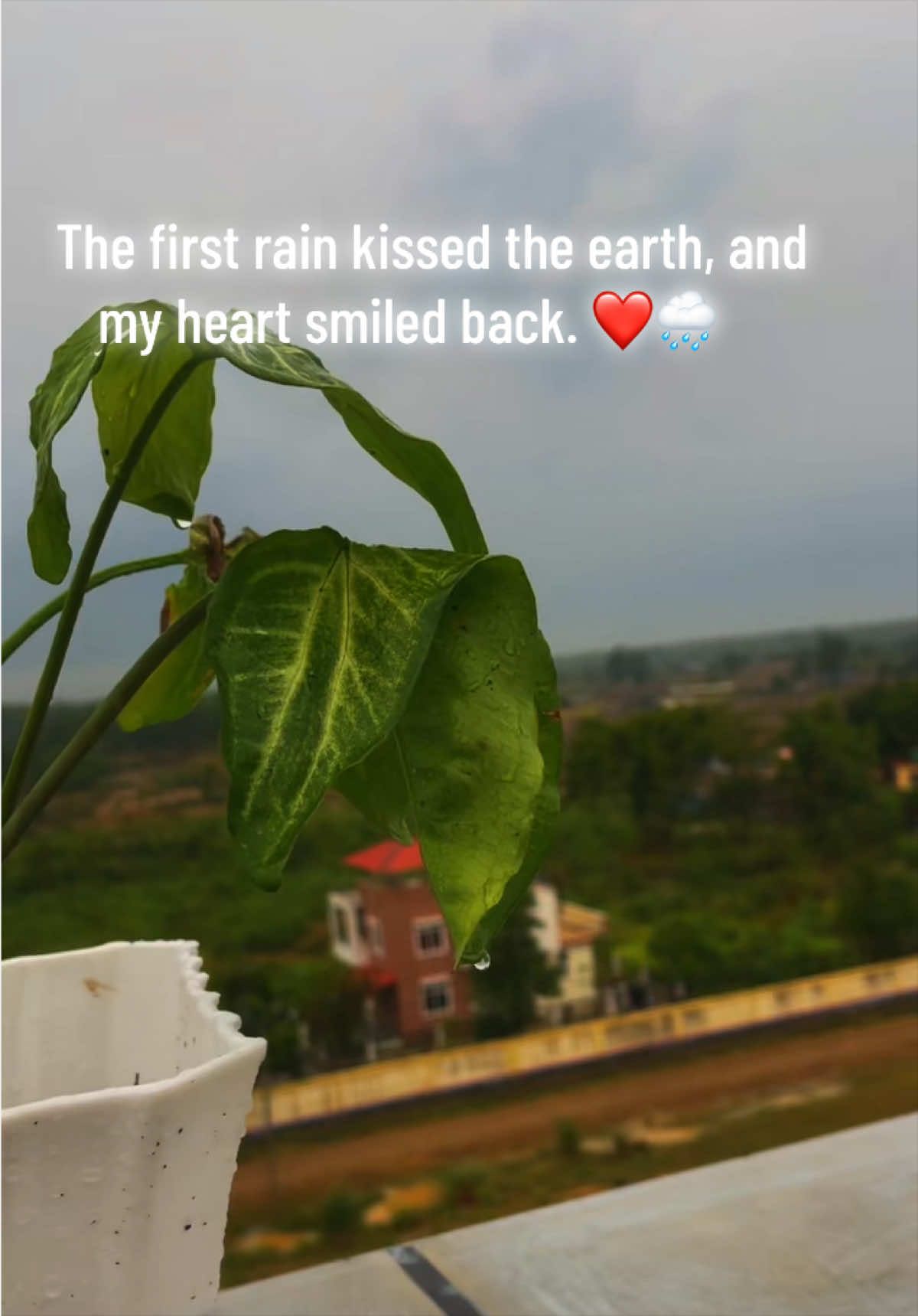 @S&Aring;R__BĀ&Ntilde; 🇳🇵