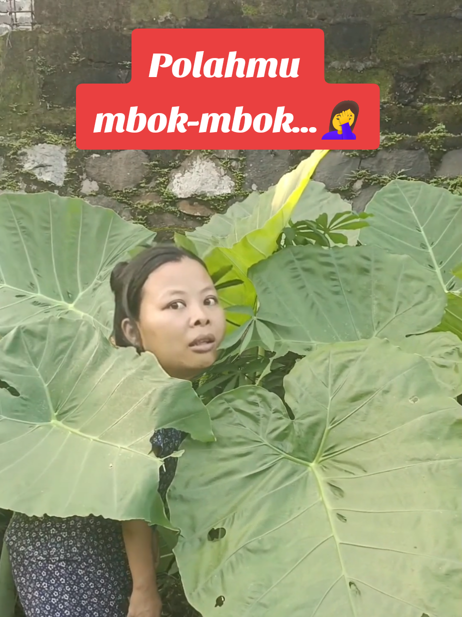 @Mbokefinara