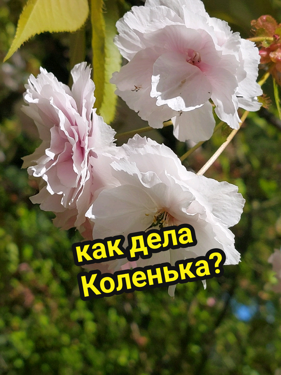 @Рыся✔️🇧🇾