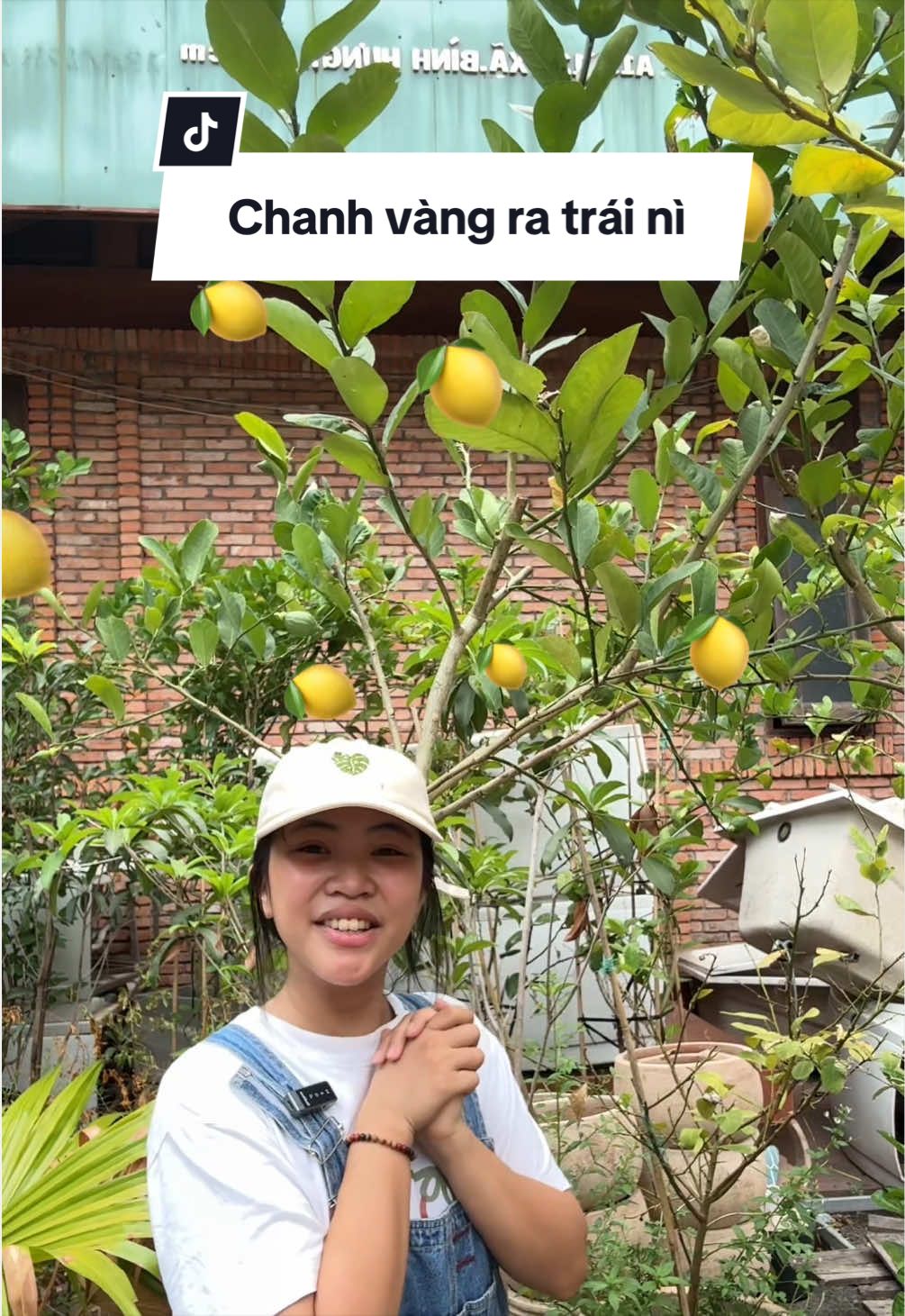 @Vuoncuakien