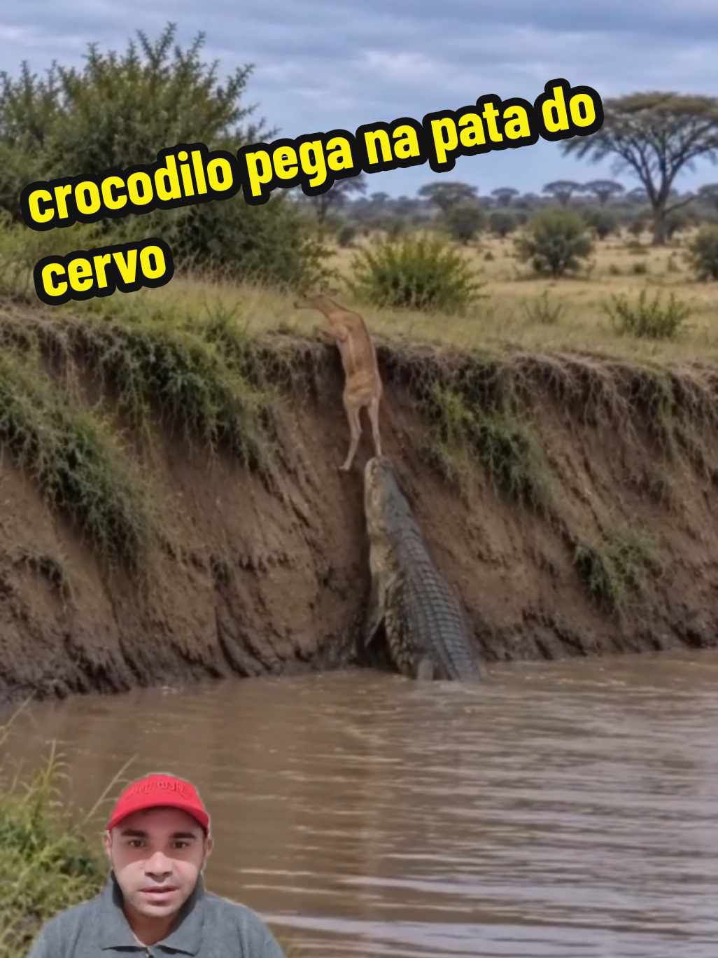 @GOROROBA 2026