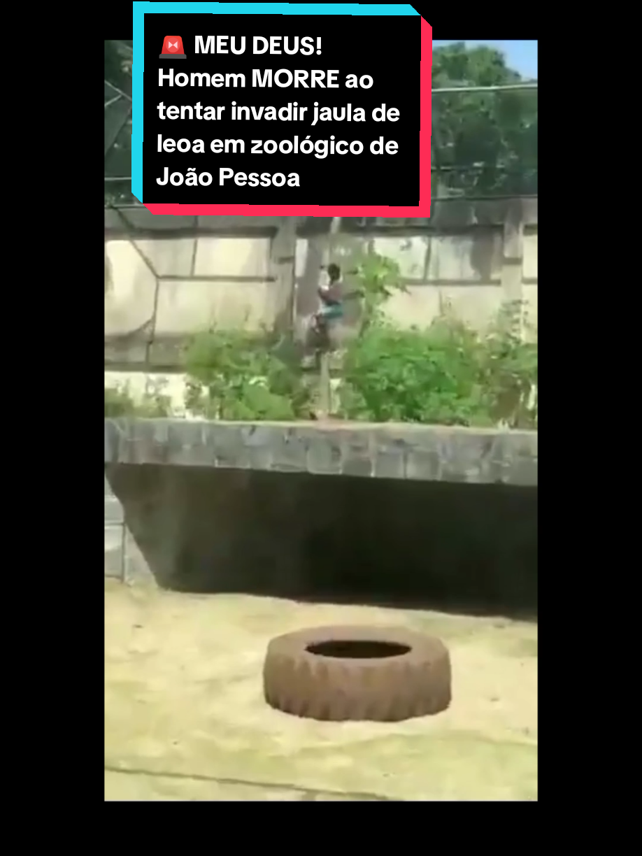 @Eita Atr&aacute;s de vixii