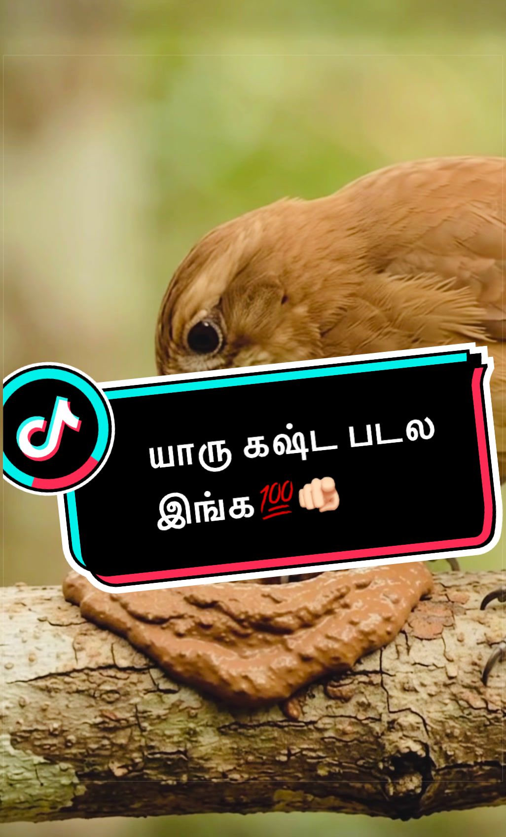 @கெத்து விஜி 👑🇫🇷