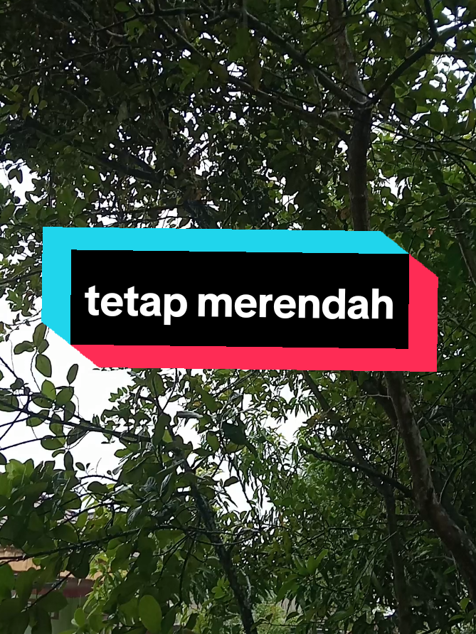 @Fahri Sturr