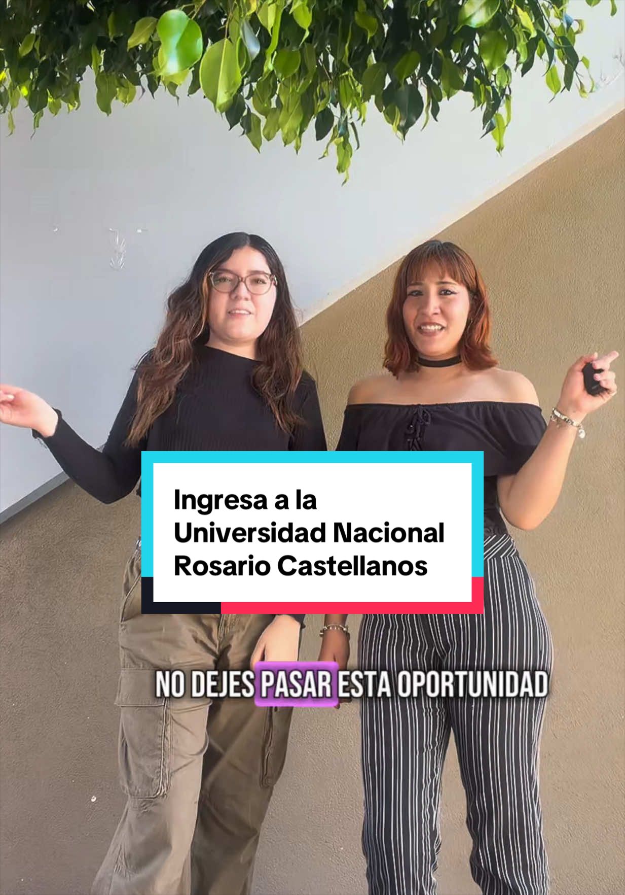 @Educación Media/Superior Mich