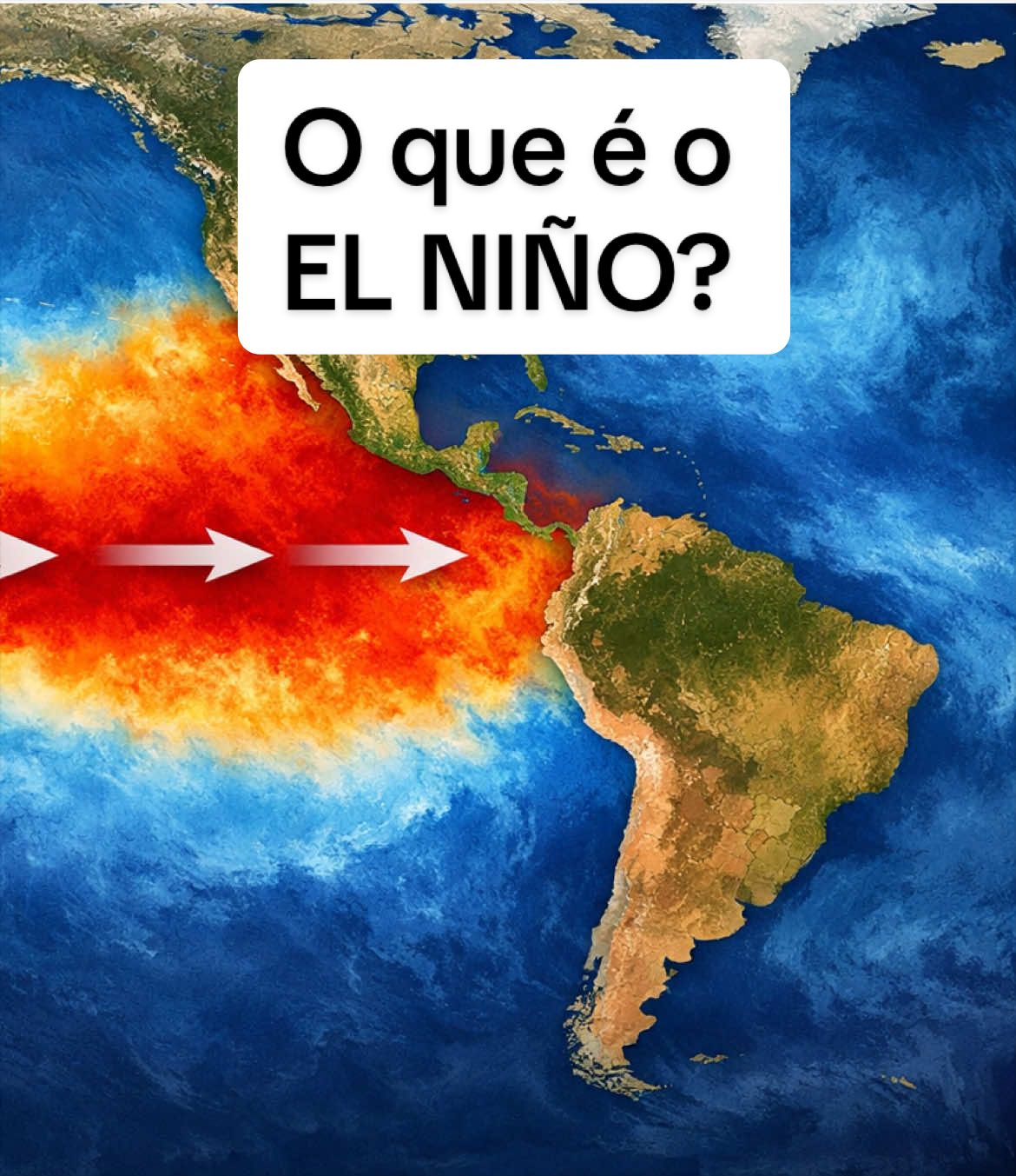 @Sobrevivente basico
