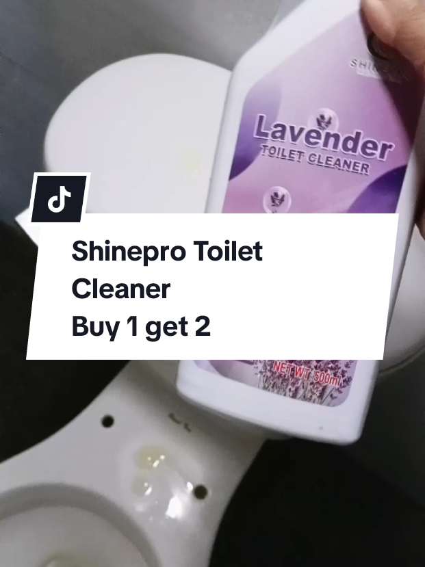@inday alicia