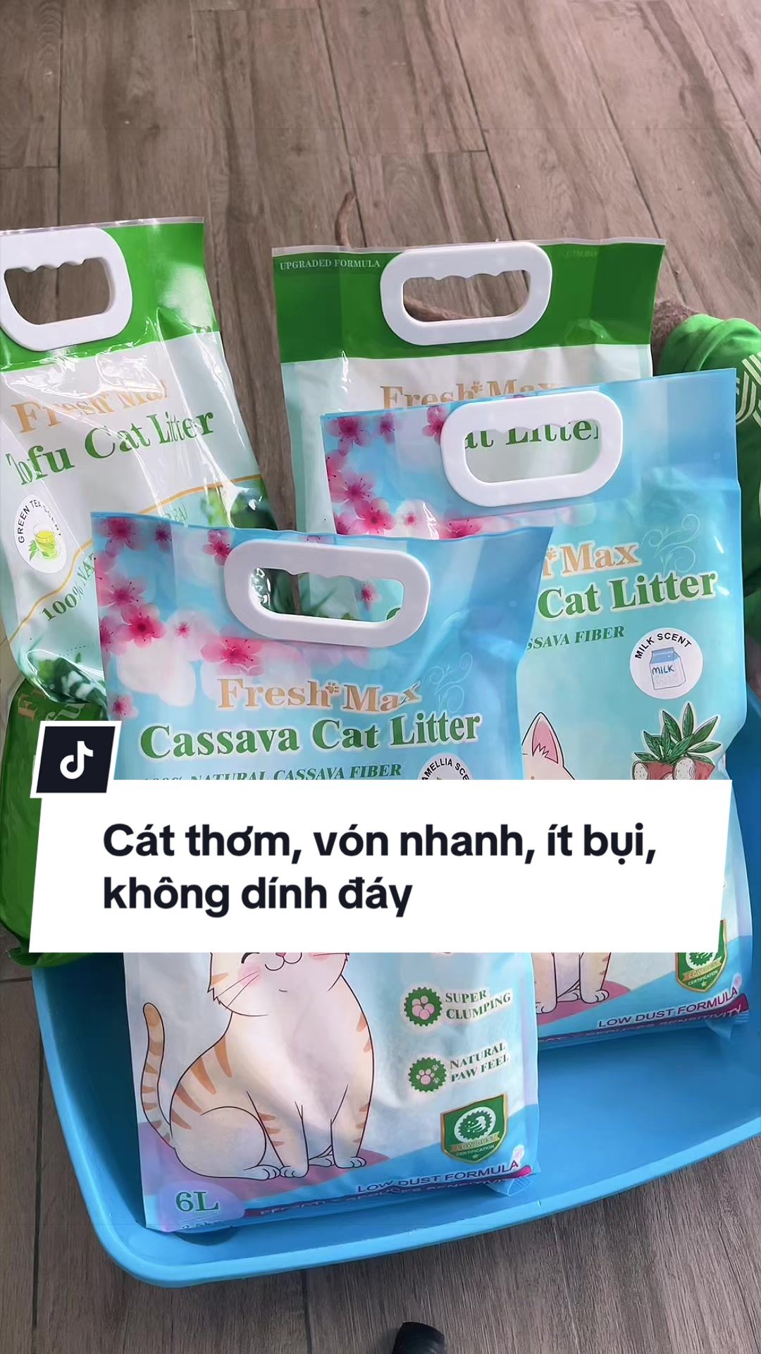 @Sếp T&ocirc;i L&agrave; Một Con M&egrave;
