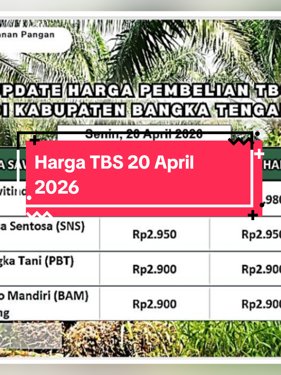 @IG Nusantara