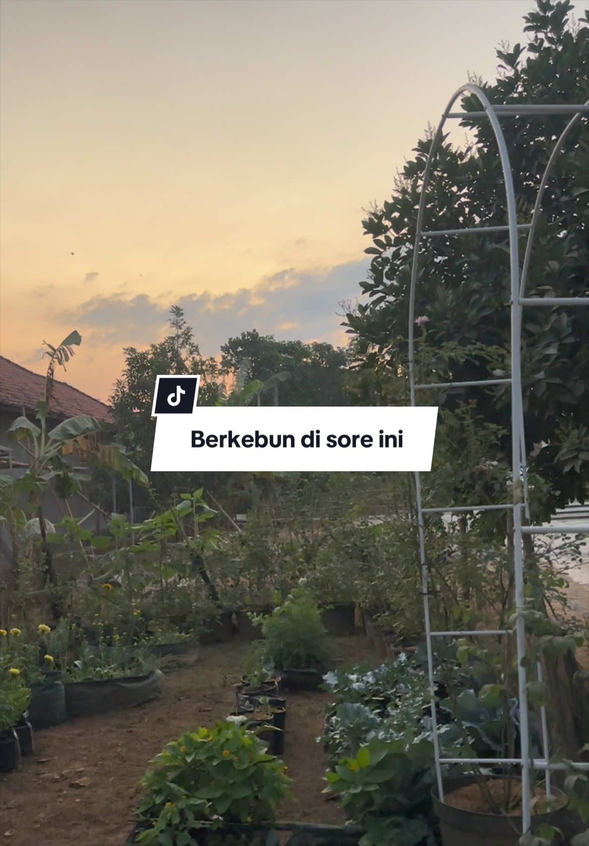 @Cess Garden 🌱