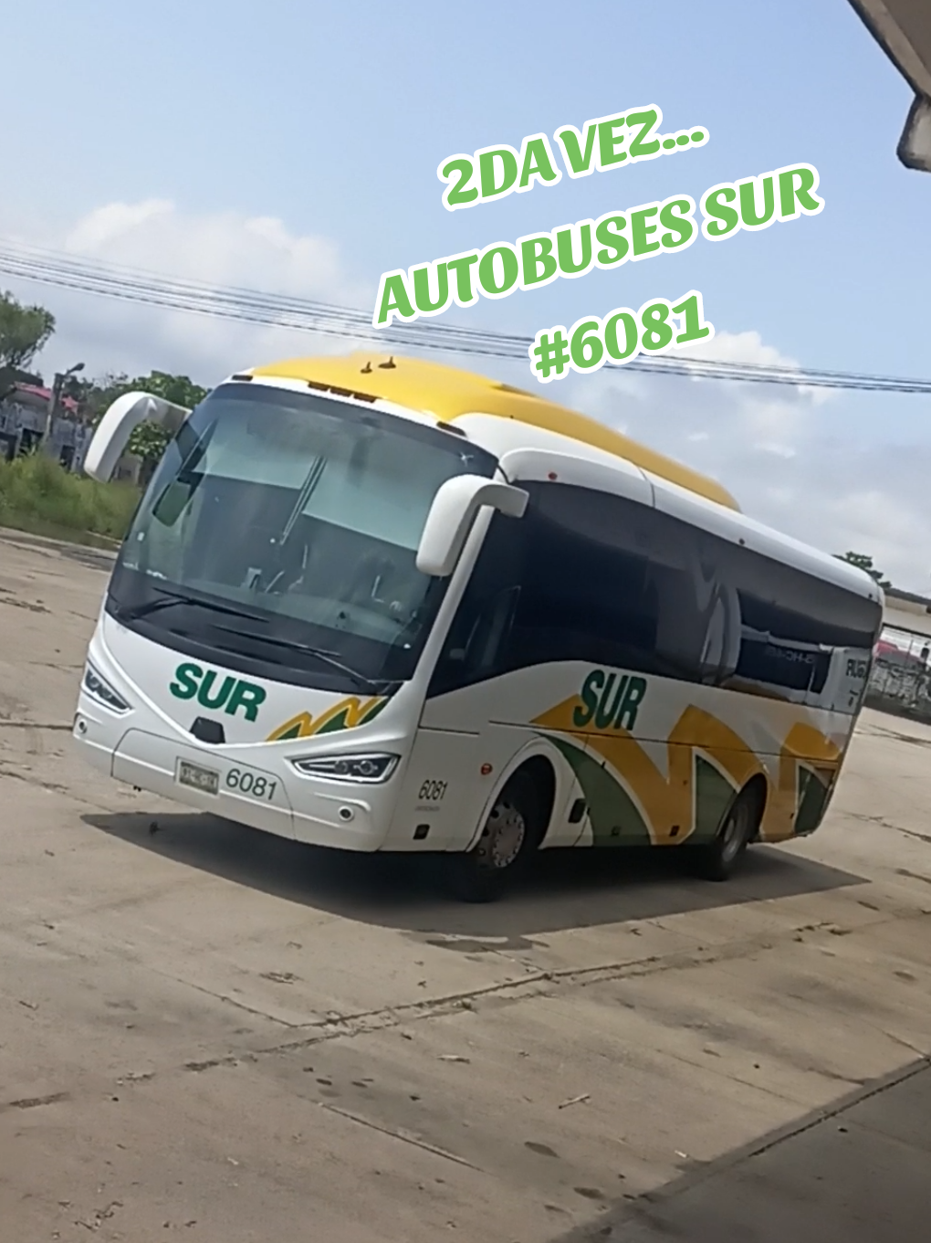 @Busologia Veracruzana 🍀🚍