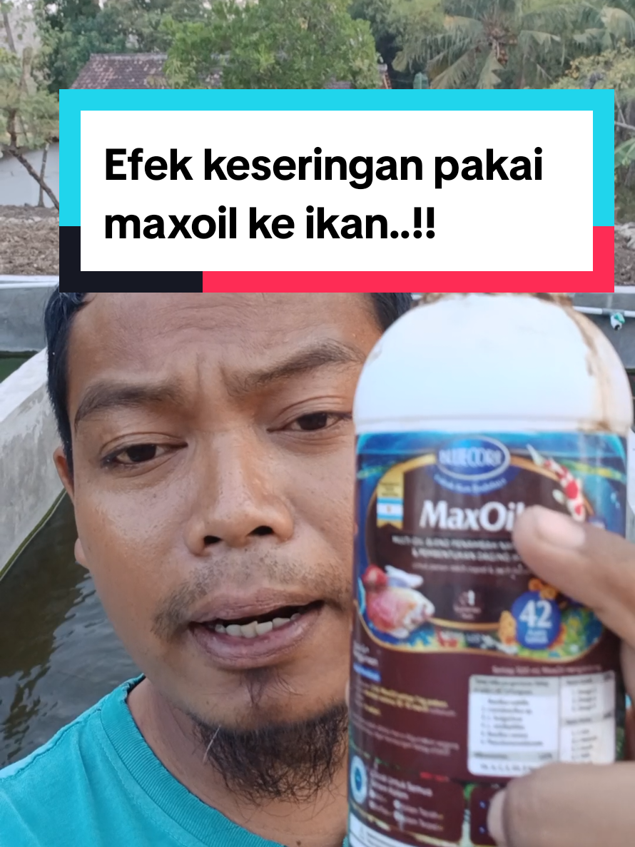 @Kang_Ewi