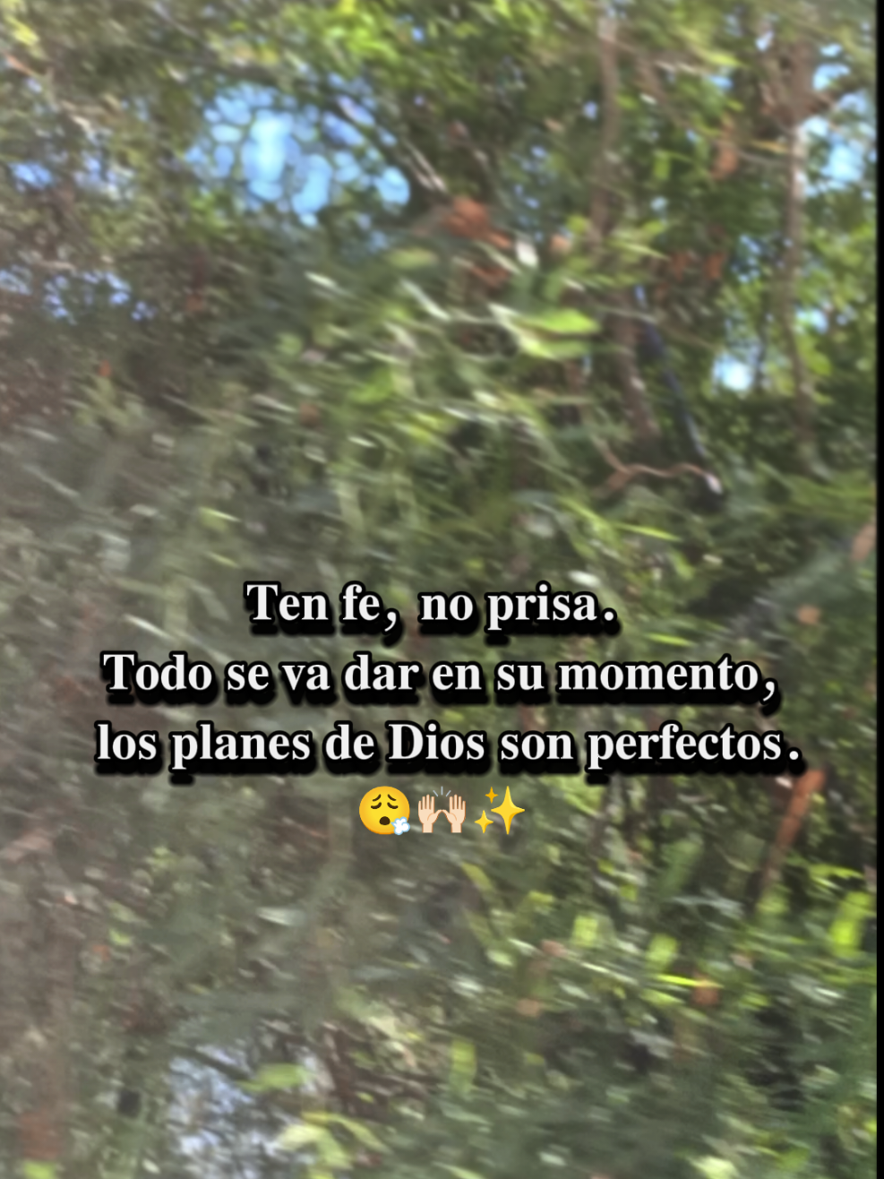 @Mayte🌵