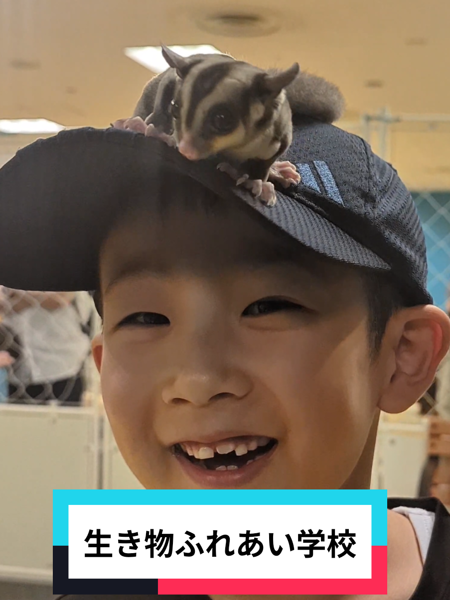 @ビスイ