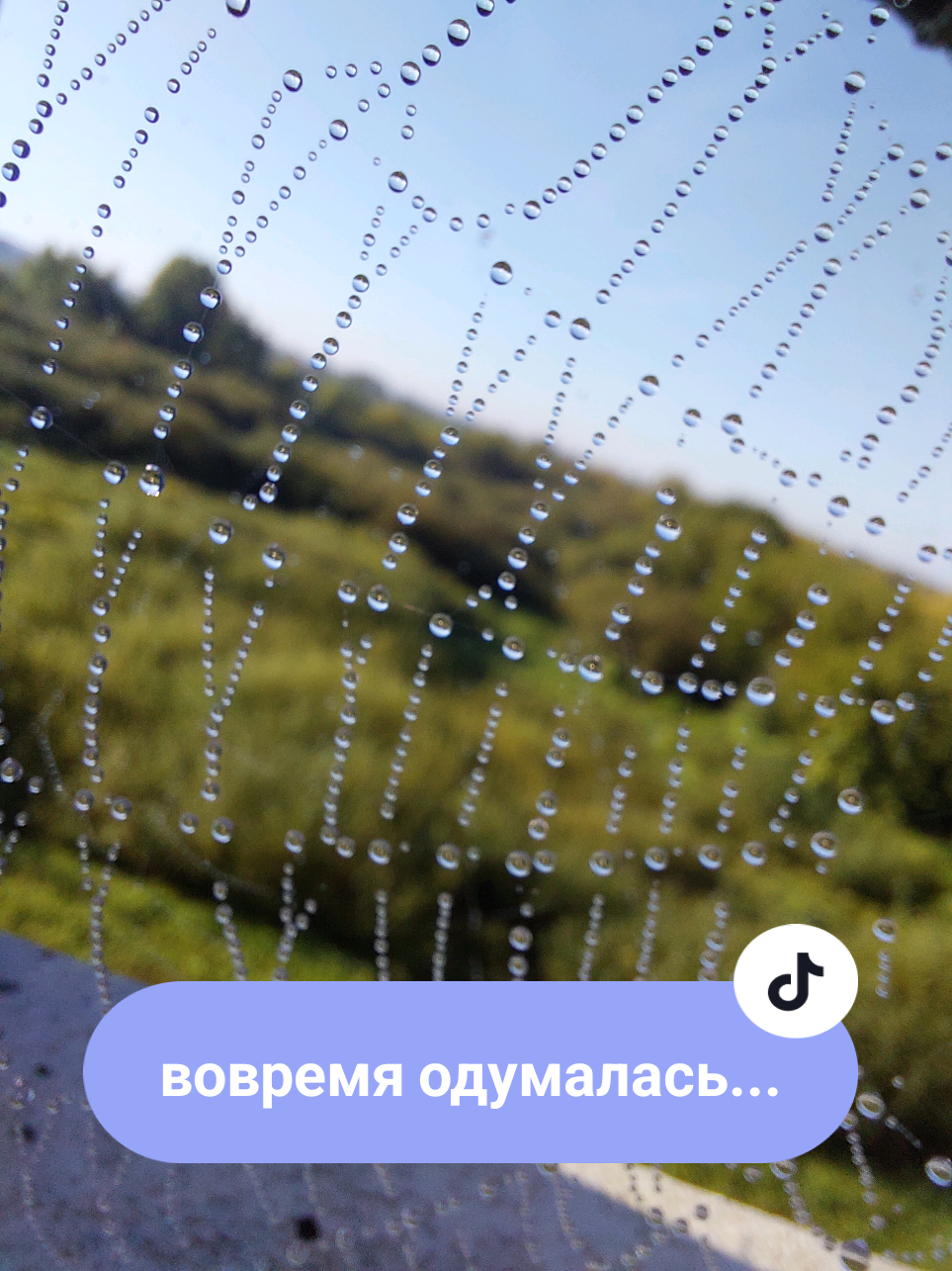 @Рыся✔️🇧🇾
