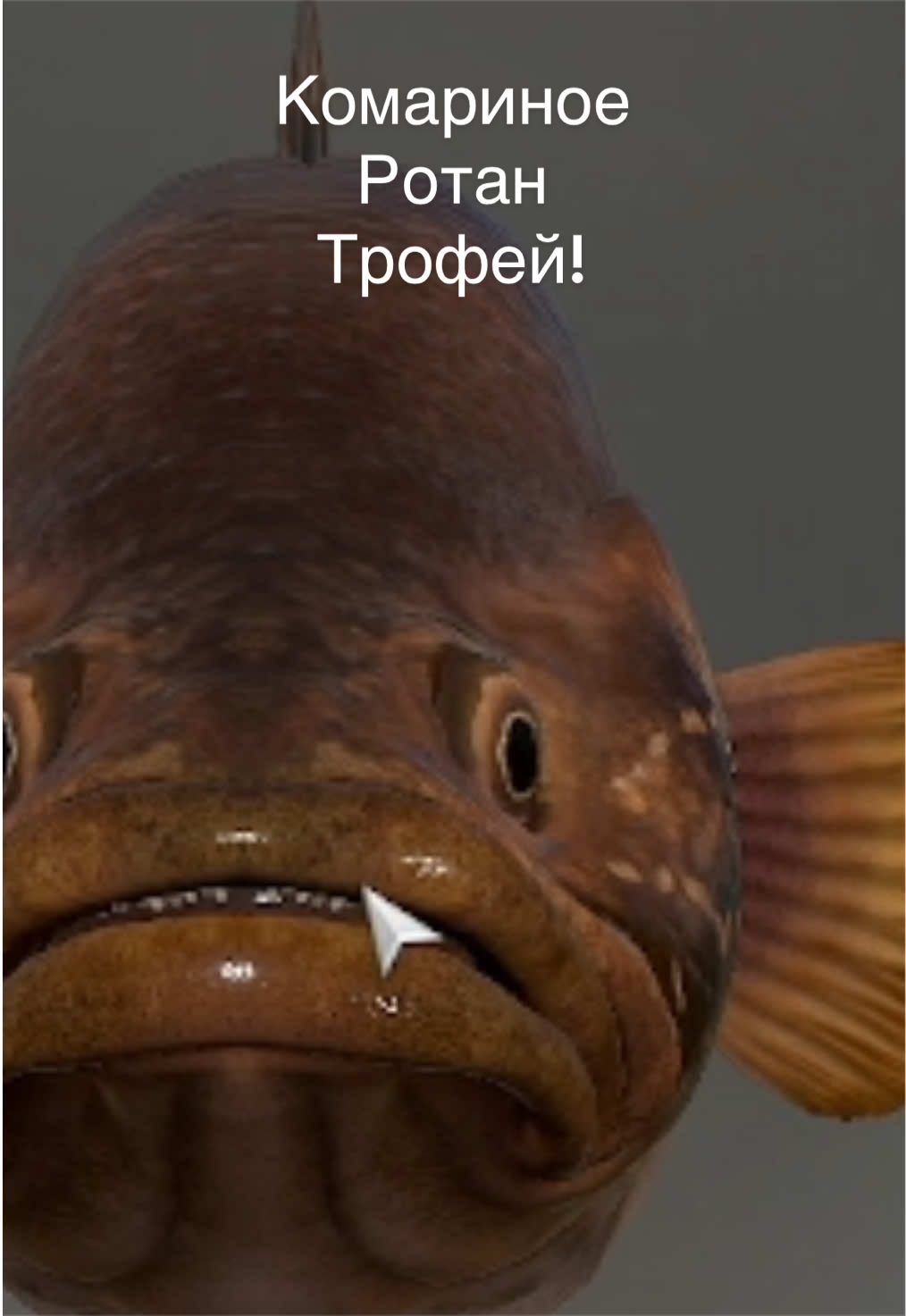 @Yashenko Mogaet