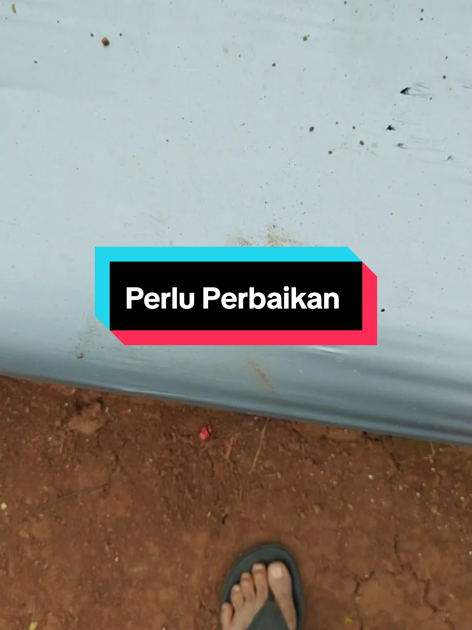 @SenimanPertanianCikancahTV