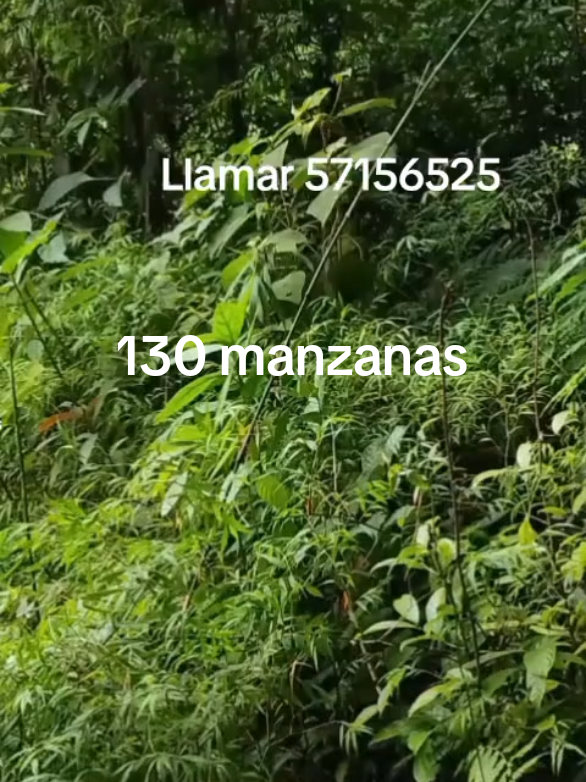 @Luis Manuel Rivera