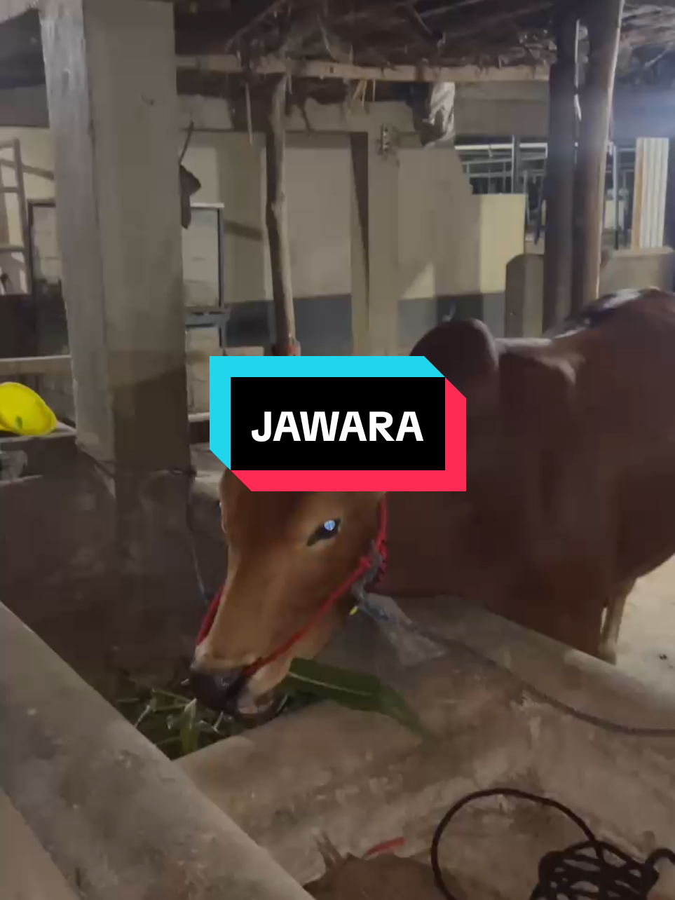 @njy