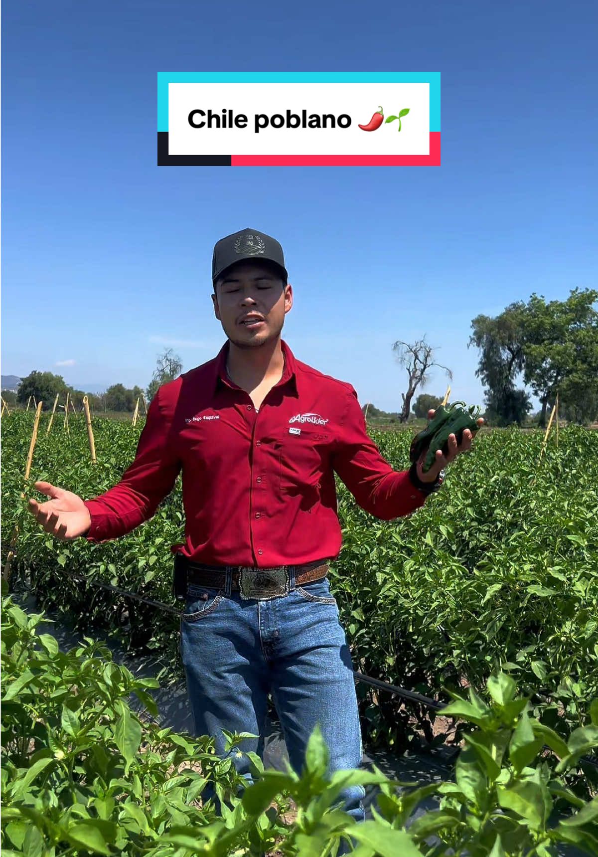@agroboy_mx